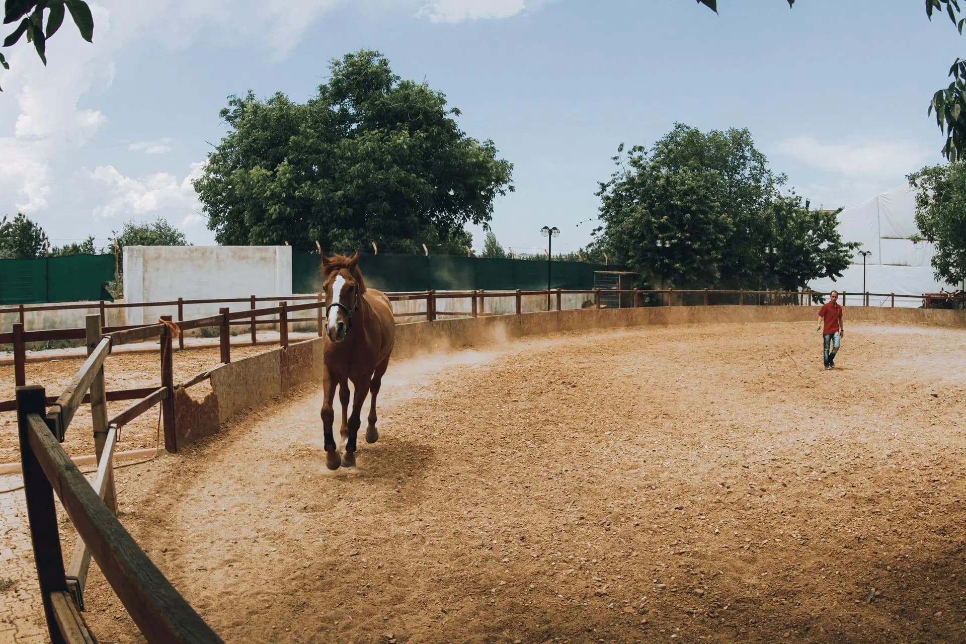 Being serious about ‘Horse’-ing around